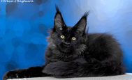 Z'Bagheera (Багира) Свободна